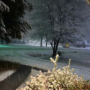 Meet your Posher, Elena